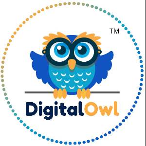 Digital Owl